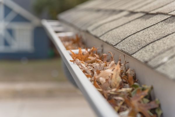 Leaf Barrier Installation in Delaware